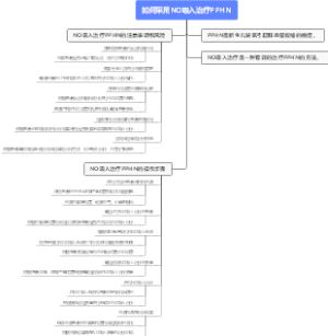 如何采用NO吸入治疗PPHN