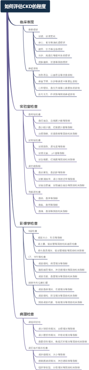 如何评估CKD的程度