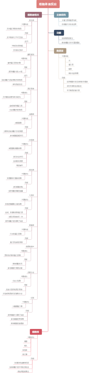 细胞体液反应