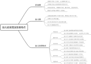 胎儿的发育及生理特点