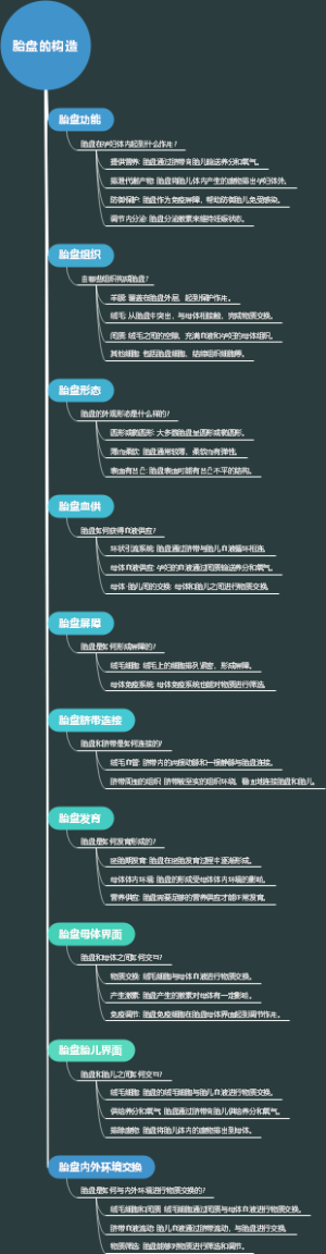 胎盘的构造