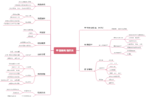 甲型病毒性肝炎