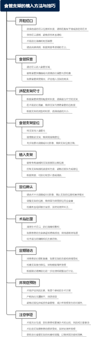 食管支架的植入方法与技巧