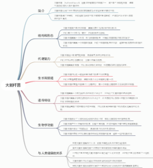 大肠杆菌