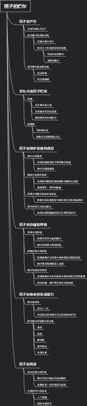 精子的贮存