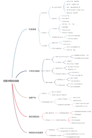 妊娠早期的保健