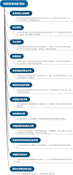 投资项目的多目标