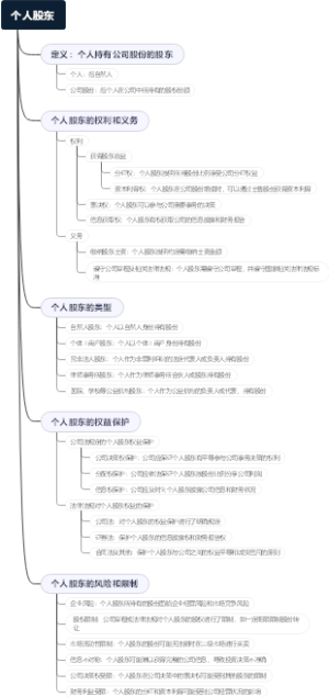 个人股东