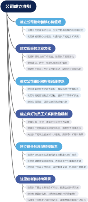 公司成立准则