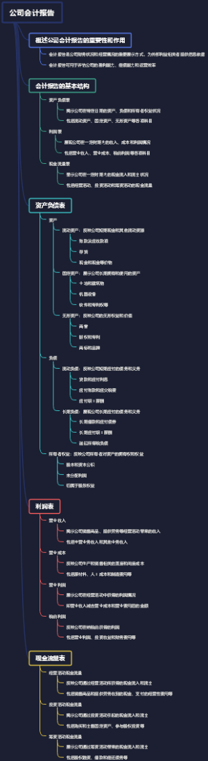 公司会计报告