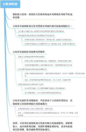 公司净利润