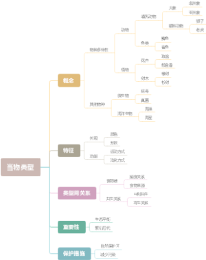 当物类型