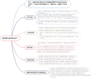 国家直接所有资产