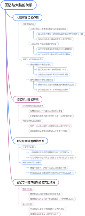 回忆与大脑的关系