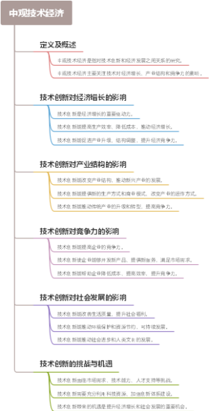 中观技术经济