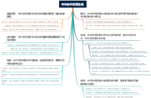 中外合作经营企业