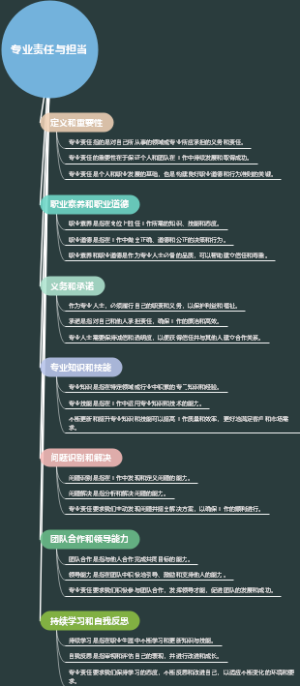 专业责任与担当