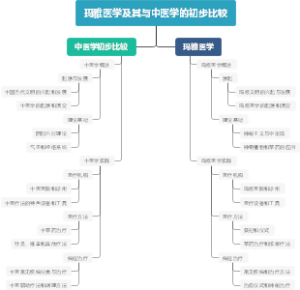 玛雅医学及其与中医学的初步比较