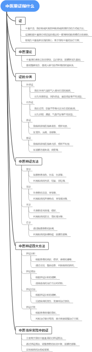 中医里证指什么