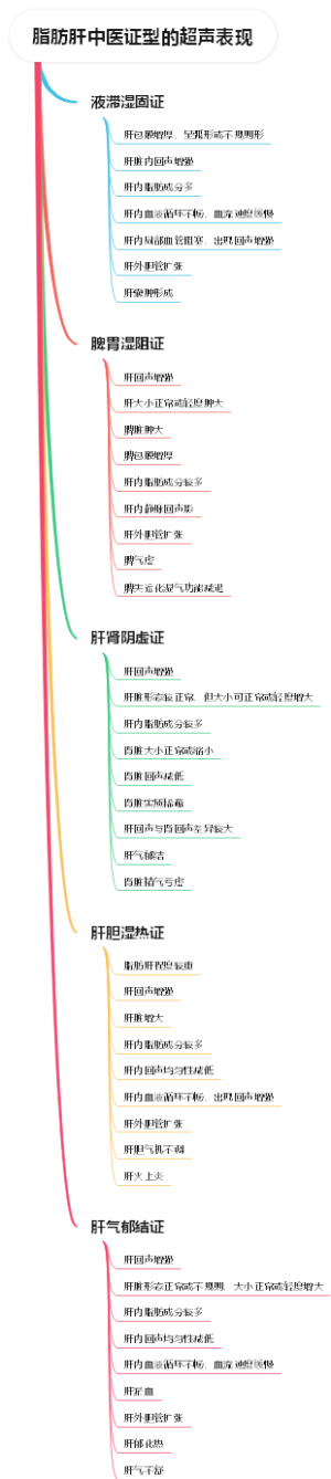 脂肪肝中医证型的超声表现