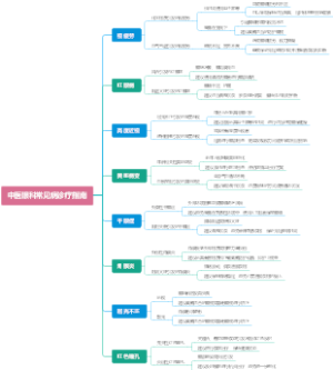 中医眼科常见病诊疗指南