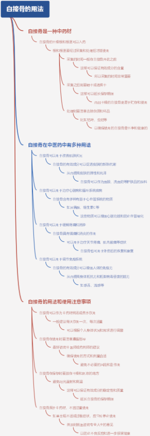 白接骨的用法