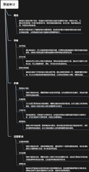 事前审计