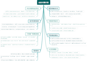 企业长期计划