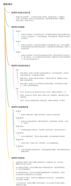 政府审计