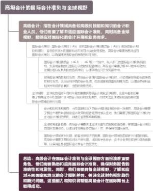 高级会计的国际会计准则与全球视野