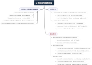 公司分立与股东权益