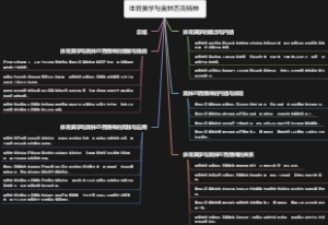 体育美学与奥林匹克精神