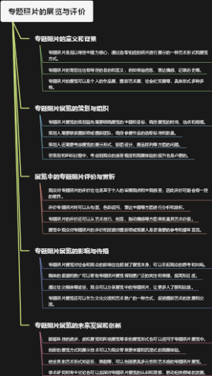 专题照片的展览与评价