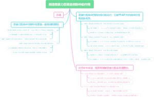创造想象力在商业创新中的作用