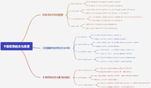 个别差异的文化角度