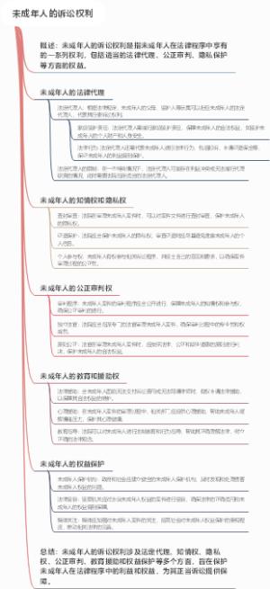 未成年人的诉讼权利