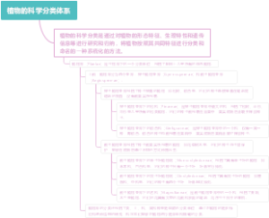 植物的科学分类体系