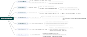 设权证券的交易与风险