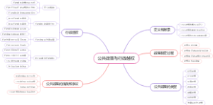 公共政策与行政越权