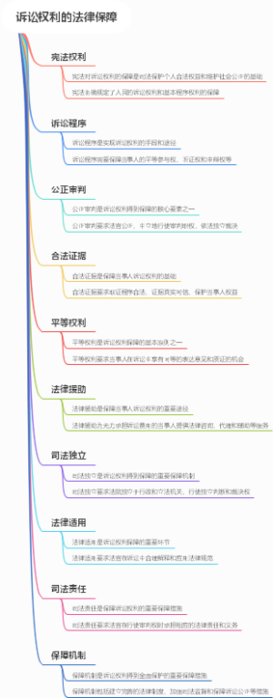 诉讼权利的法律保障