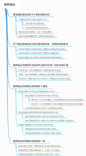 视界融合