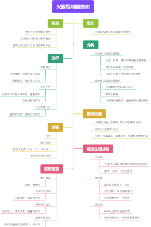火器性颅脑损伤