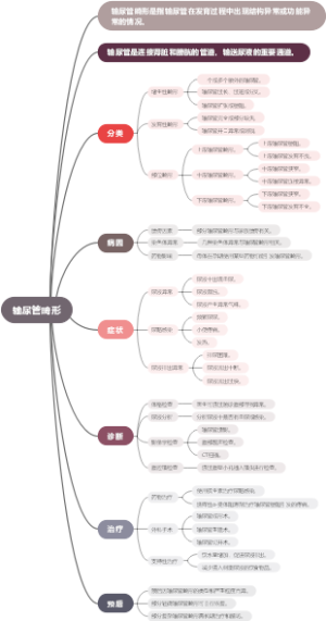 输尿管畸形
