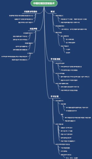 中期妊娠剖宫取胎术