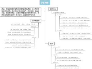 子宫畸形