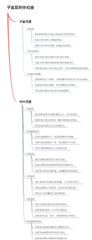 子宫及附件检查