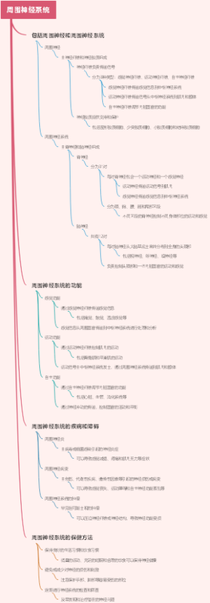 周围神经系统