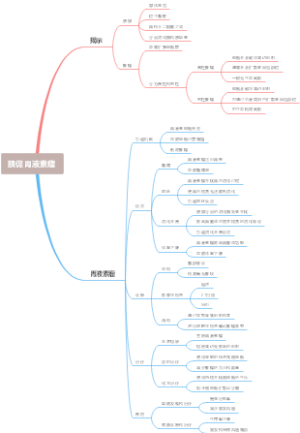 胰促胃液素瘤