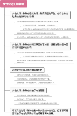 女性化肾上腺肿瘤