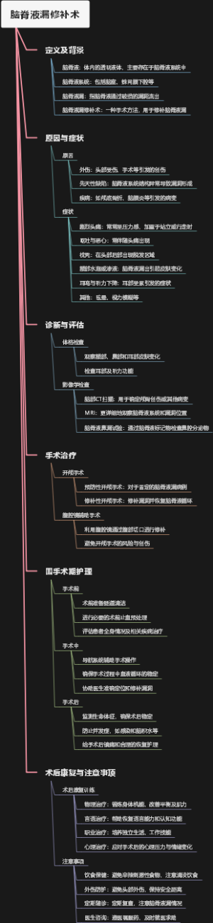 脑脊液漏修补术